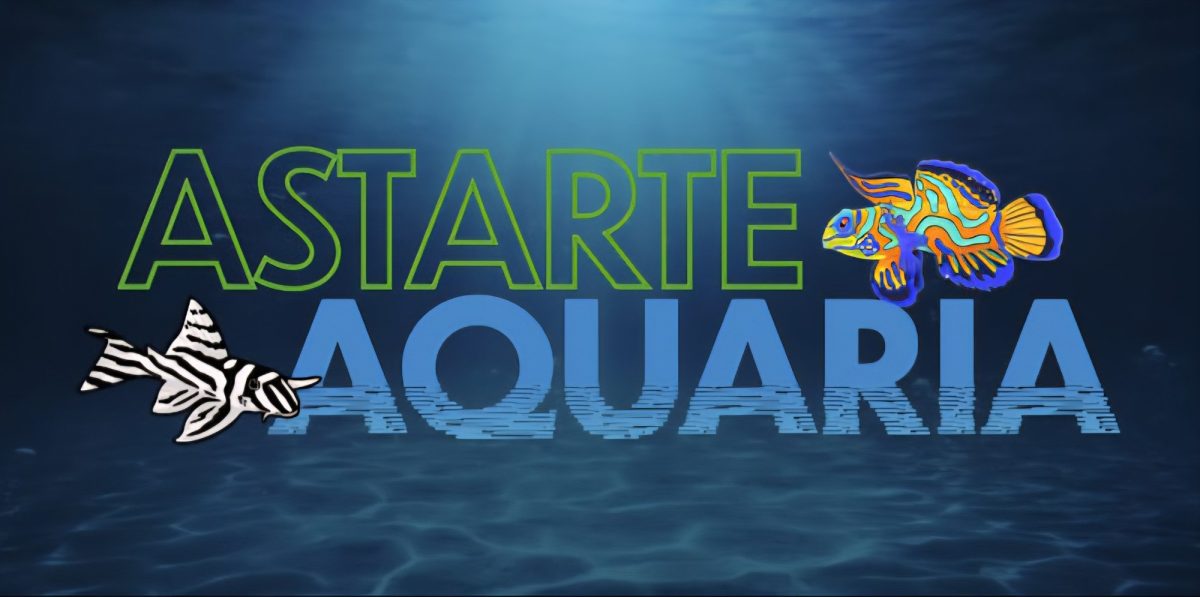 Astarte Aquaria